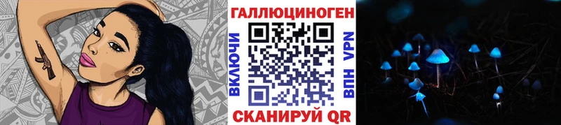Галлюциногенные грибы Psilocybe  как найти наркотики  МЕГА онион  Приморск 